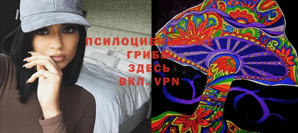 PSILOCYBIN Алексеевка