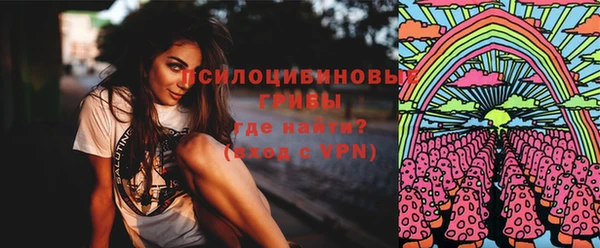 PSILOCYBIN Алексеевка