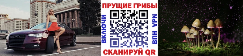 Галлюциногенные грибы Cubensis  Сатка 